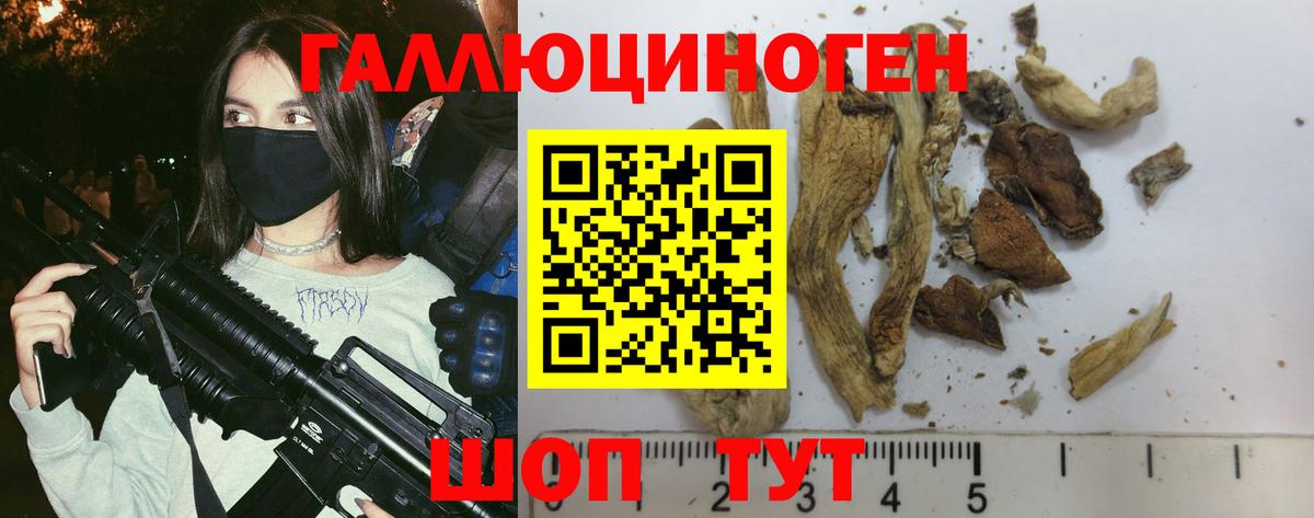 Галлюциногенные грибы GOLDEN TEACHER Пушкино