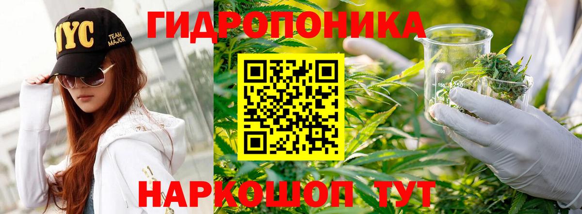 Бошки Шишки сатива Пушкино